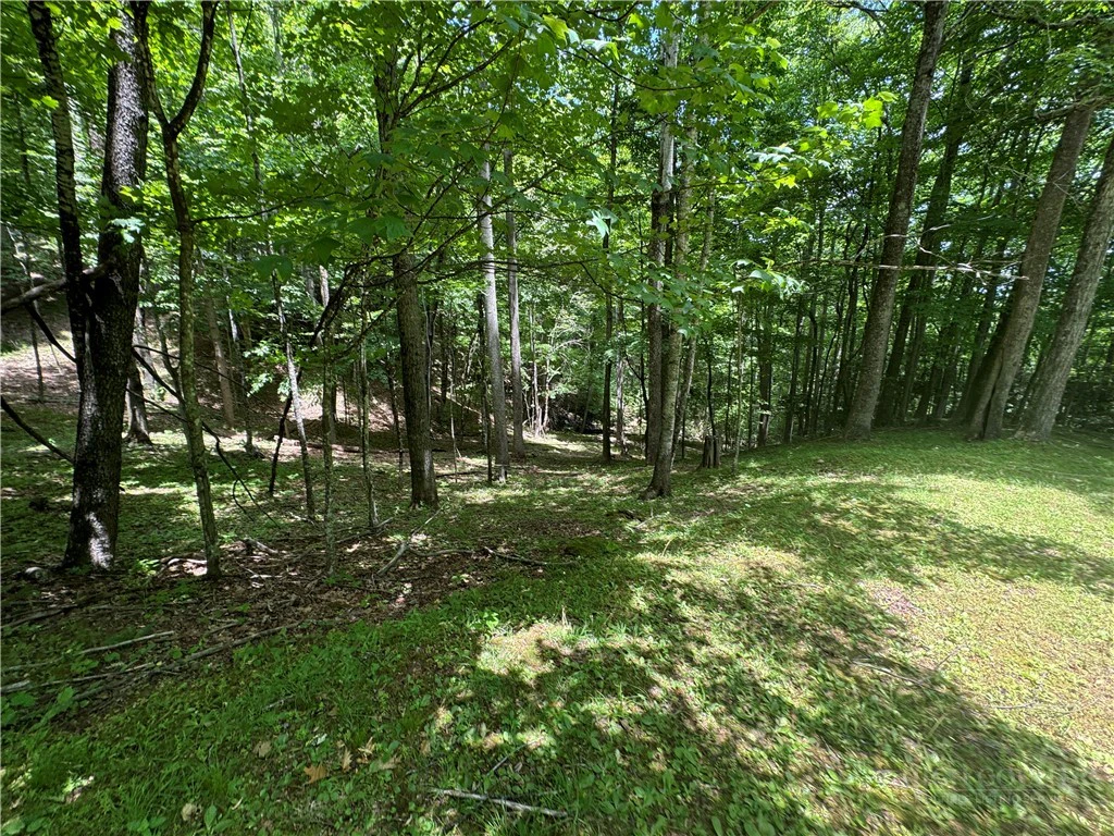 Image number 3 for the current listing