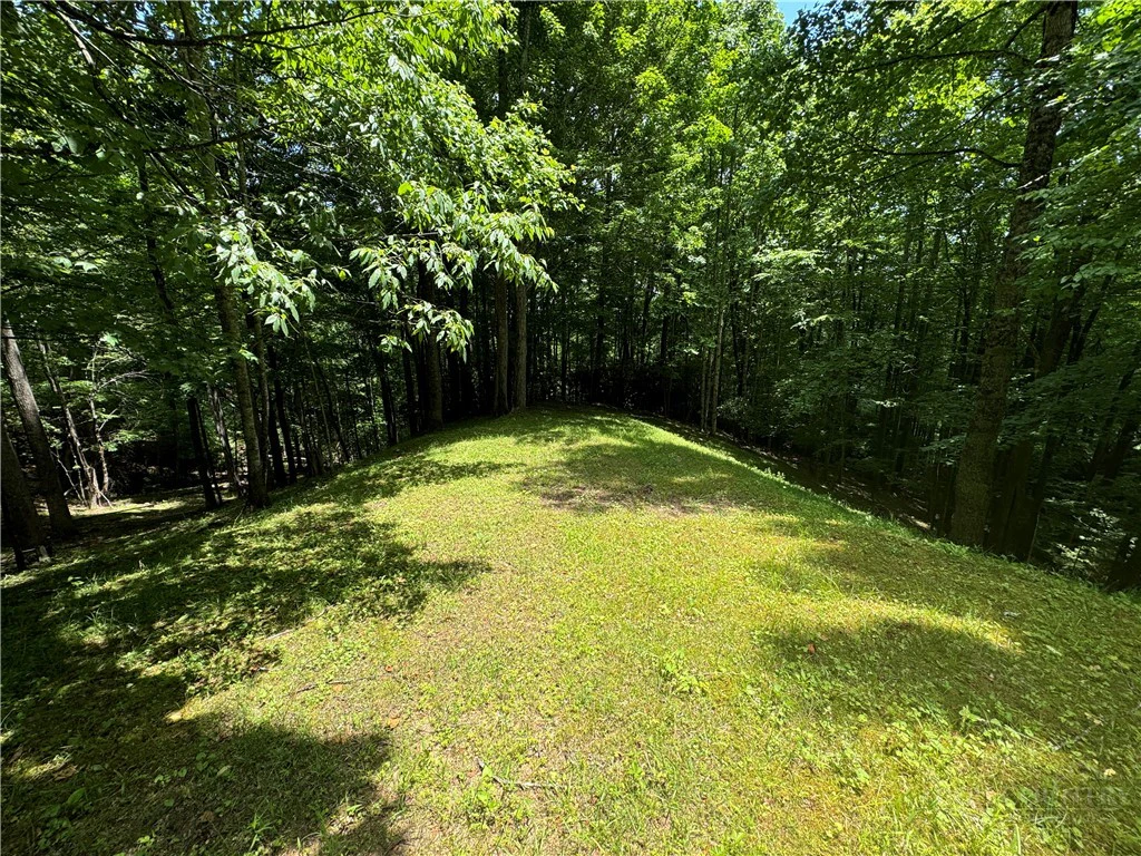 Image number 4 for the current listing