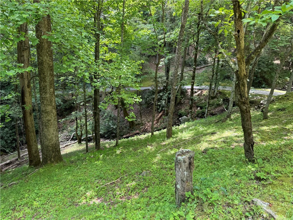 Image number 5 for the current listing