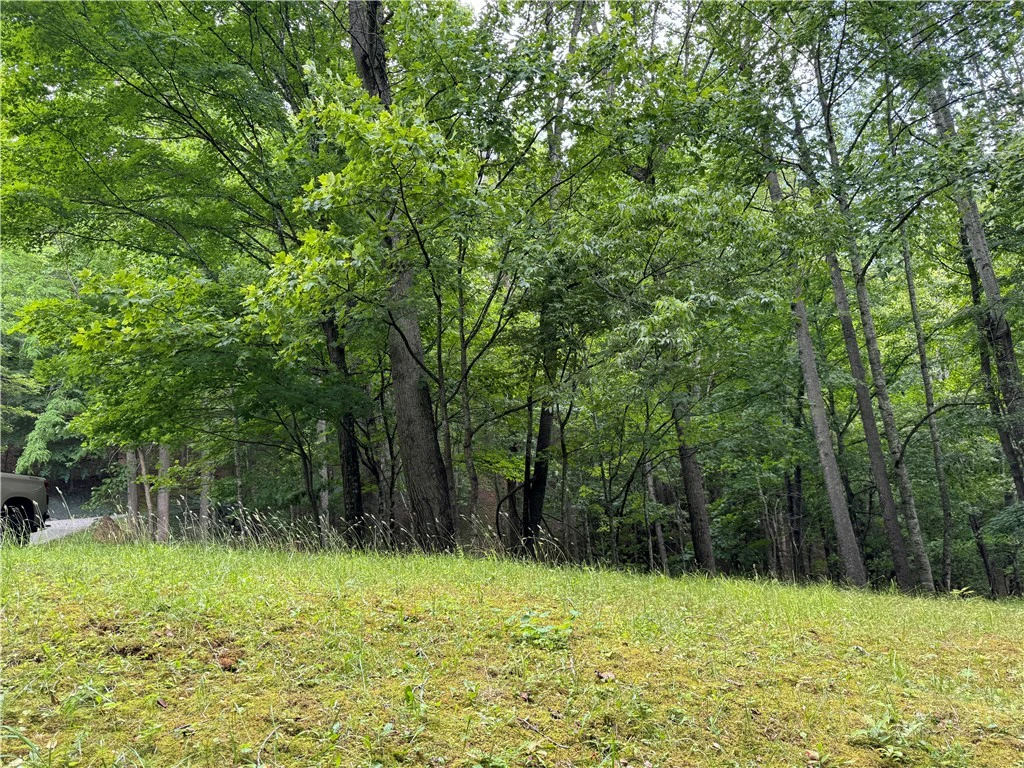 Image number 6 for the current listing