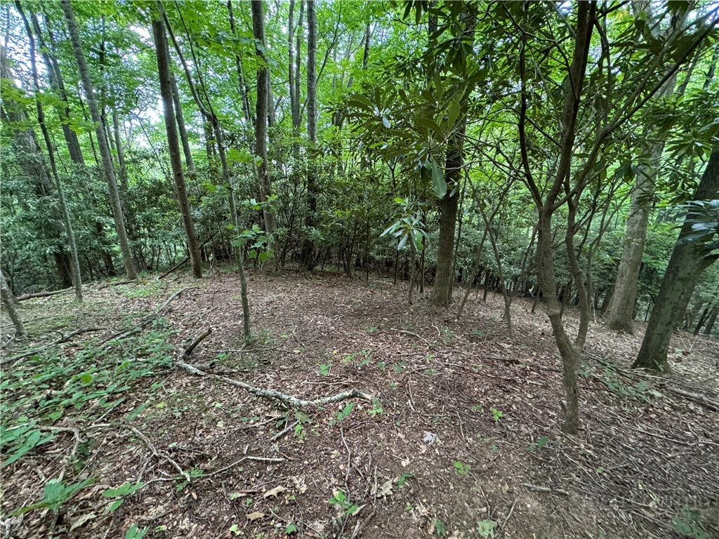 Image number 7 for the current listing