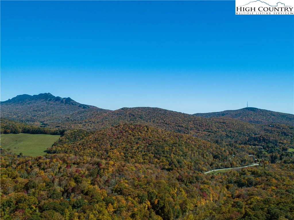 Image number 15 for the current listing