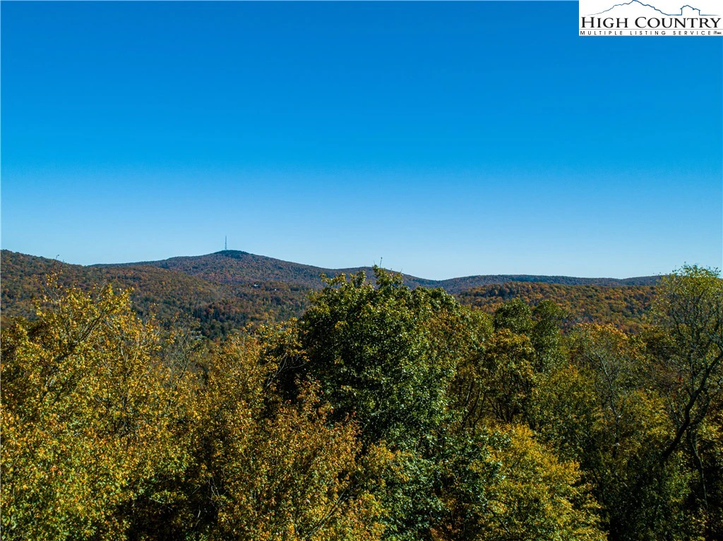 Image number 14 for the current listing