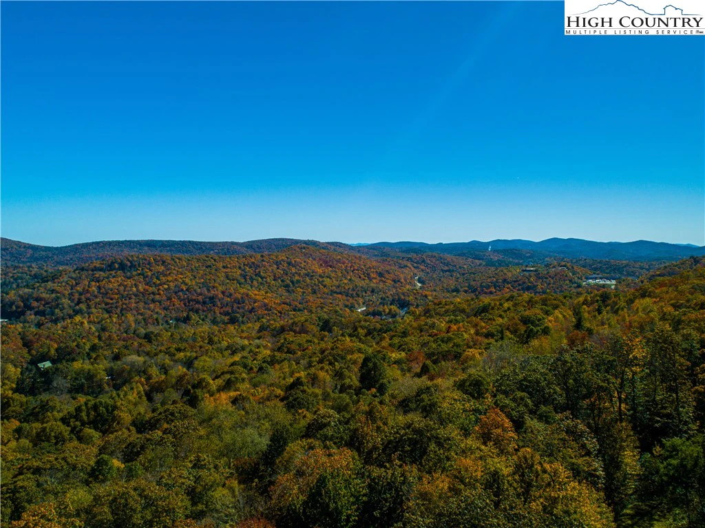 Image number 2 for the current listing