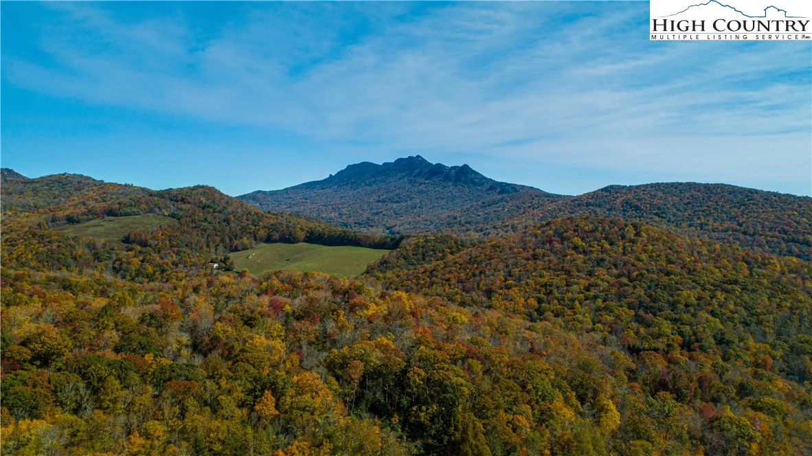 Image number 13 for the current listing
