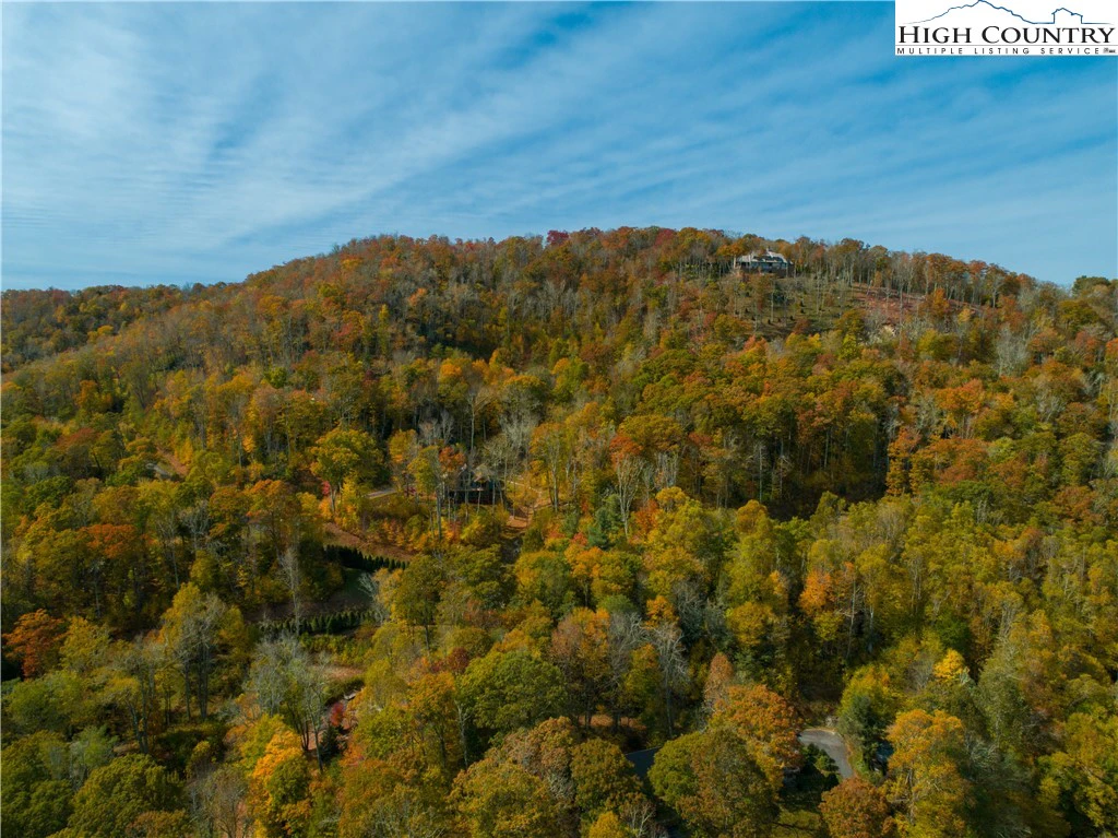 Image number 12 for the current listing