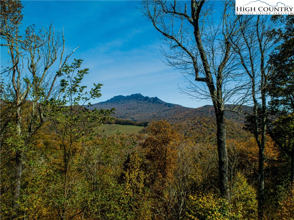 Image number 11 for the current listing