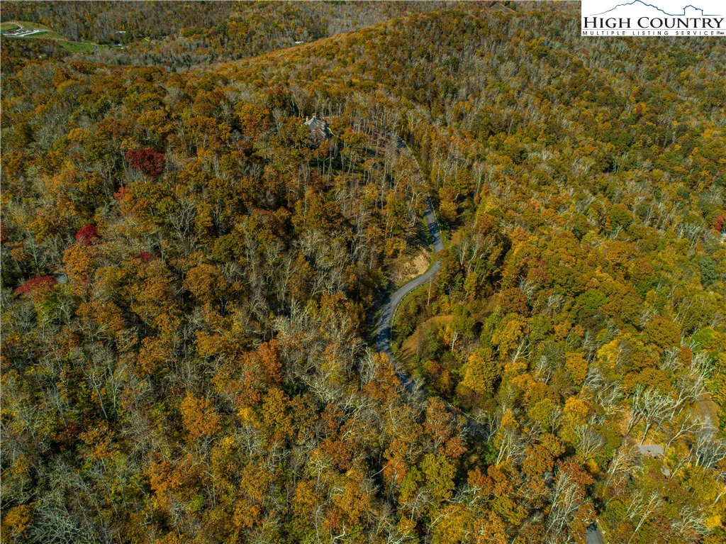 Image number 9 for the current listing