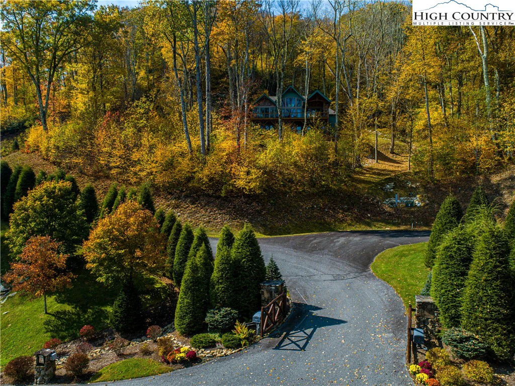Image number 4 for the current listing