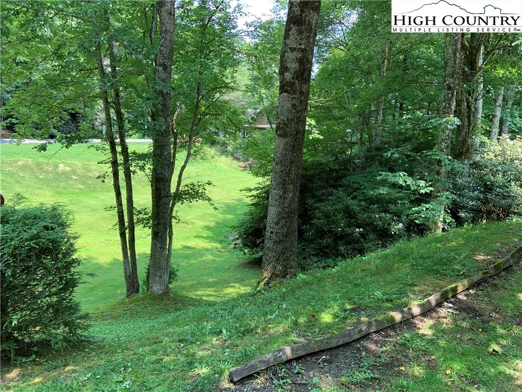 Image number 1 for the current listing
