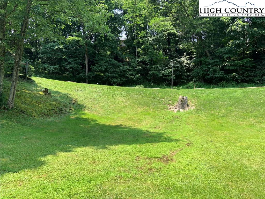 Image number 7 for the current listing