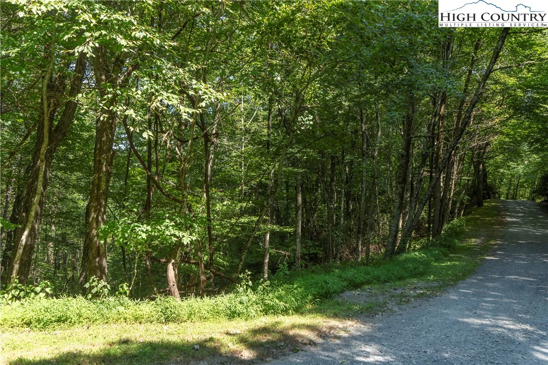 Image number 4 for the current listing