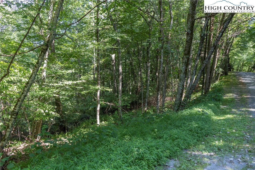 Image number 5 for the current listing