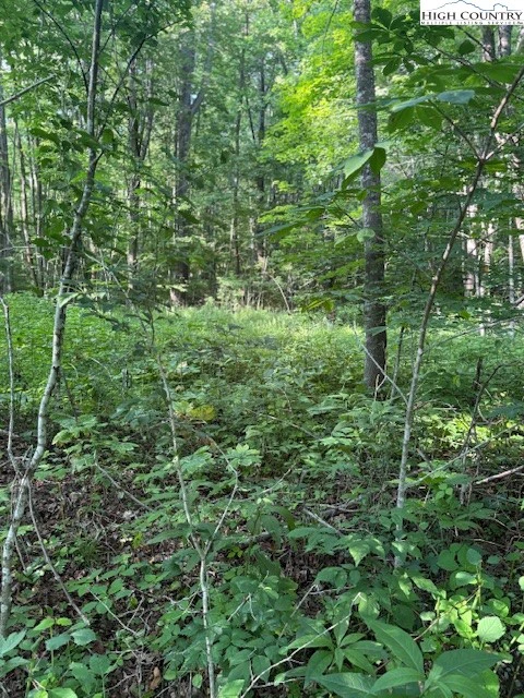 Image number 10 for the current listing