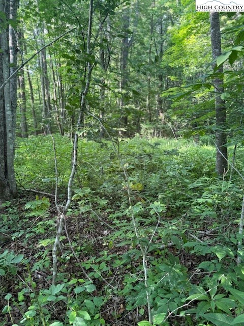 Image number 8 for the current listing