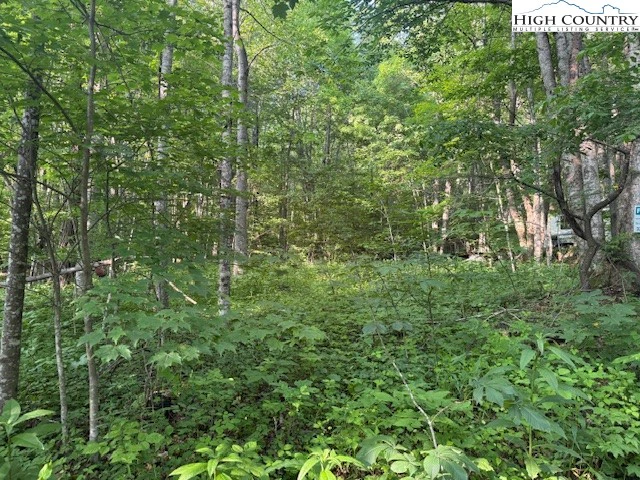 Image number 9 for the current listing