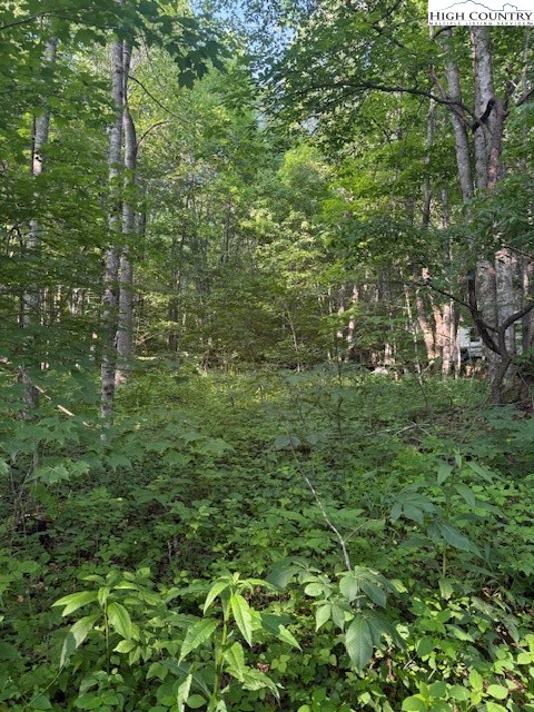 Image number 13 for the current listing