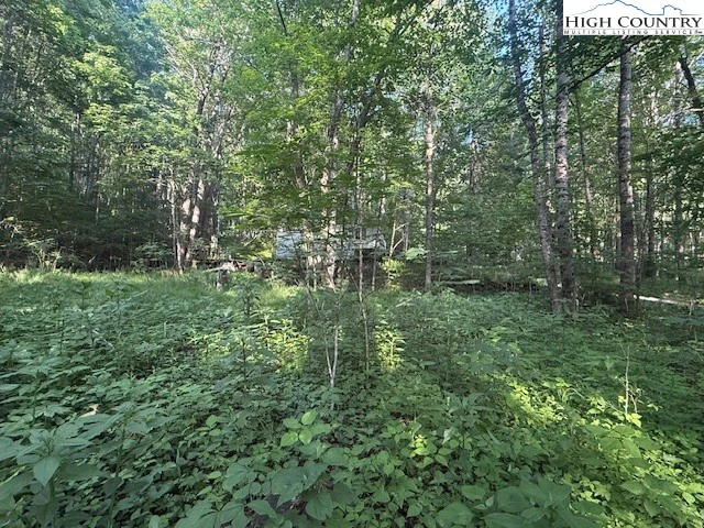 Image number 3 for the current listing