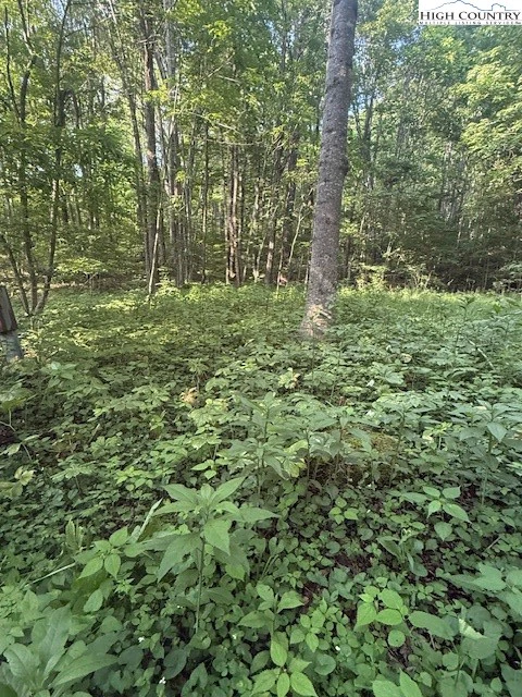 Image number 7 for the current listing