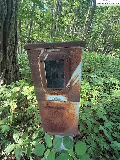 Image number 12 for the current listing