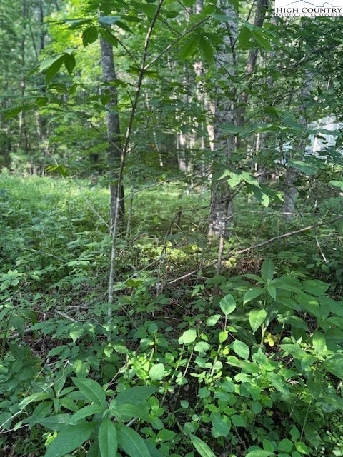 Image number 6 for the current listing