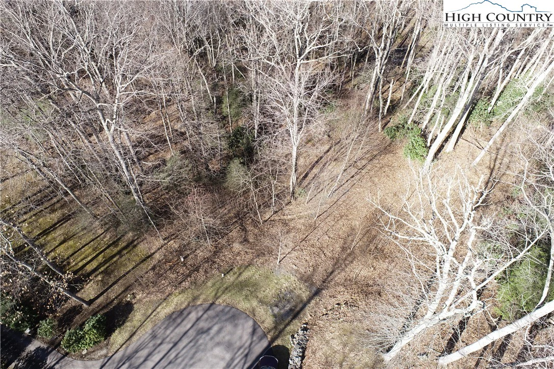 Image number 13 for the current listing