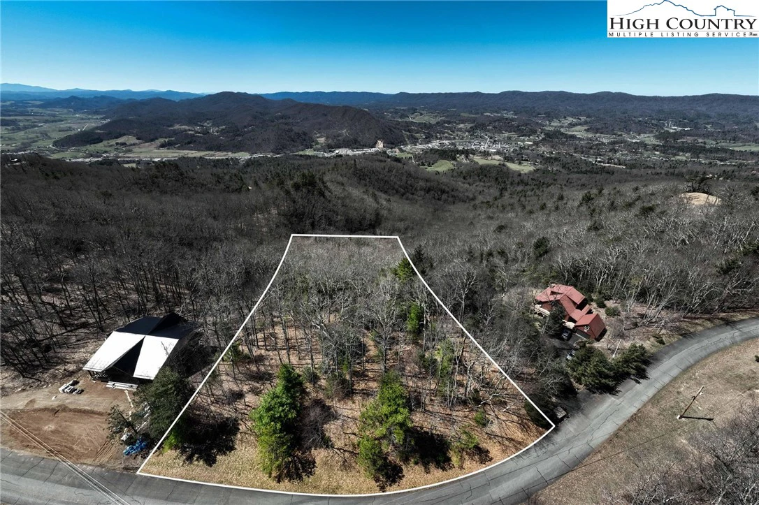 Image number 1 for the current listing