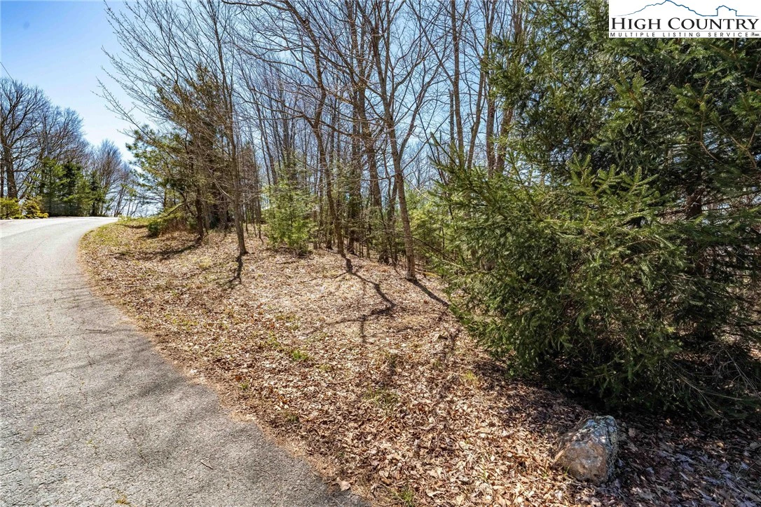 Image number 11 for the current listing