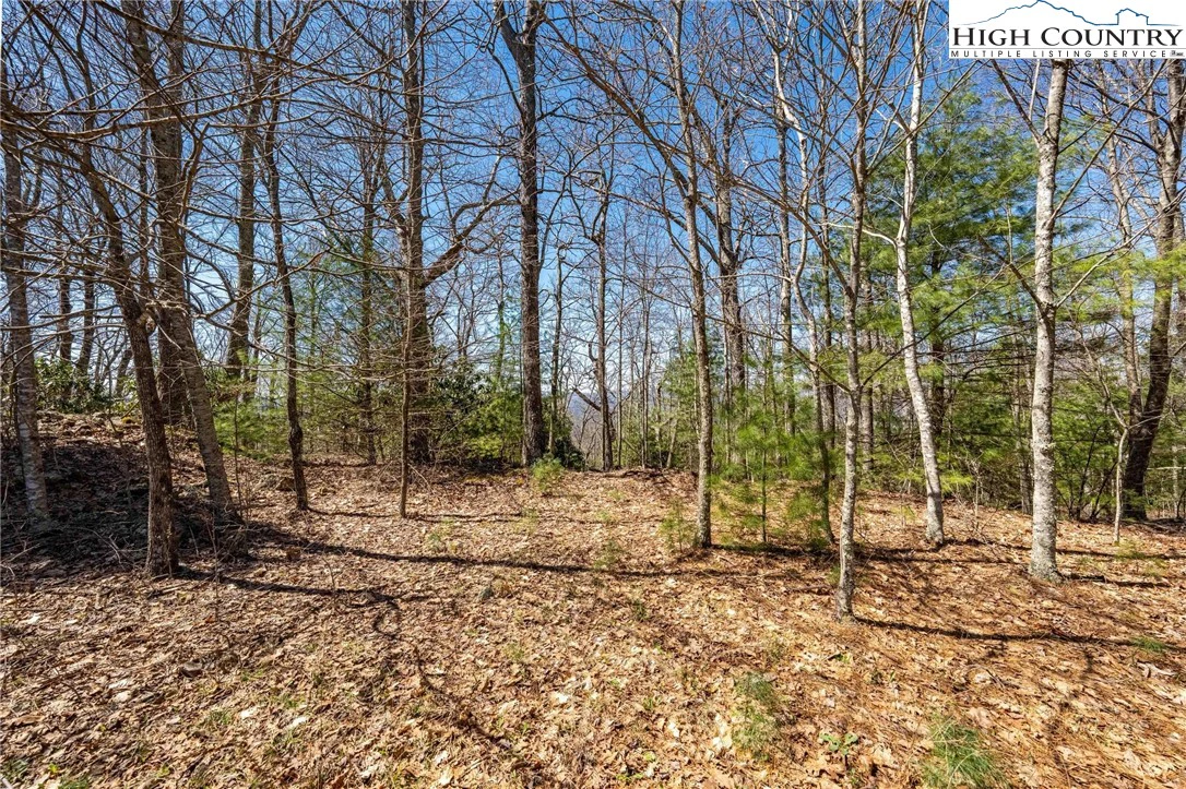 Image number 9 for the current listing
