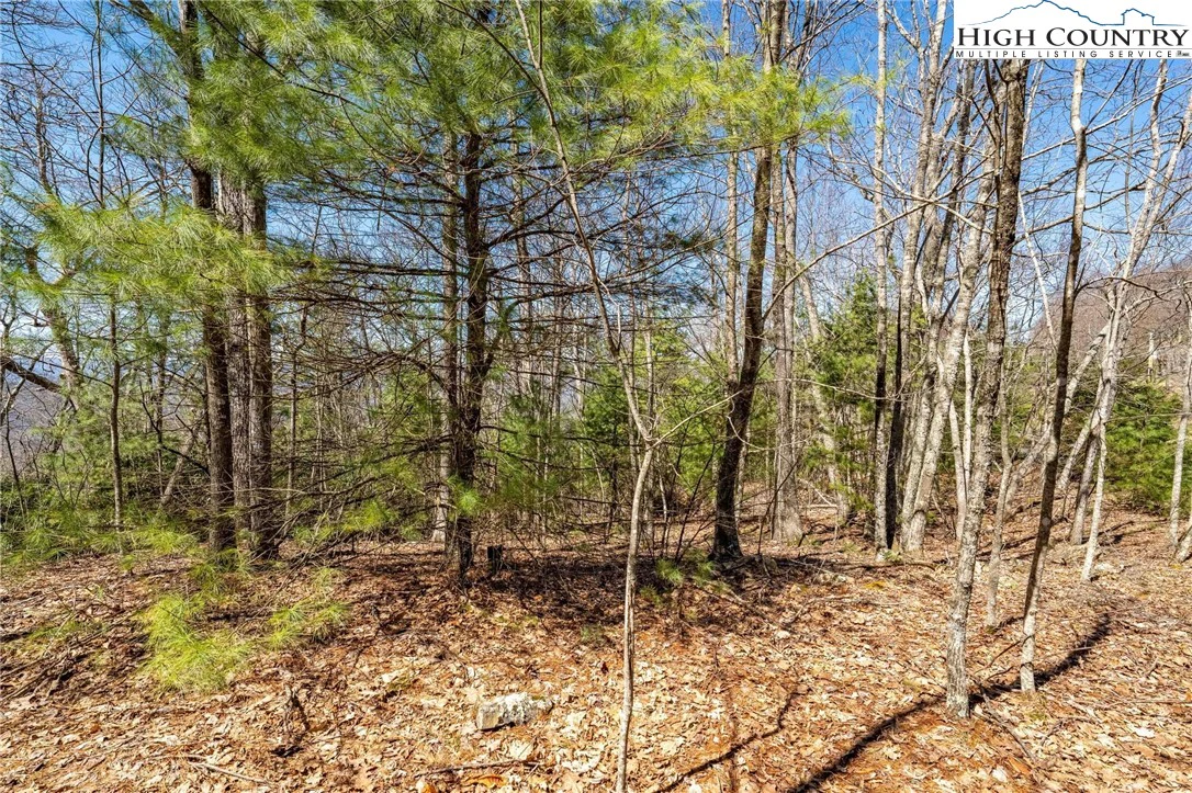 Image number 8 for the current listing