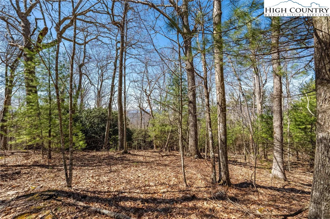 Image number 7 for the current listing