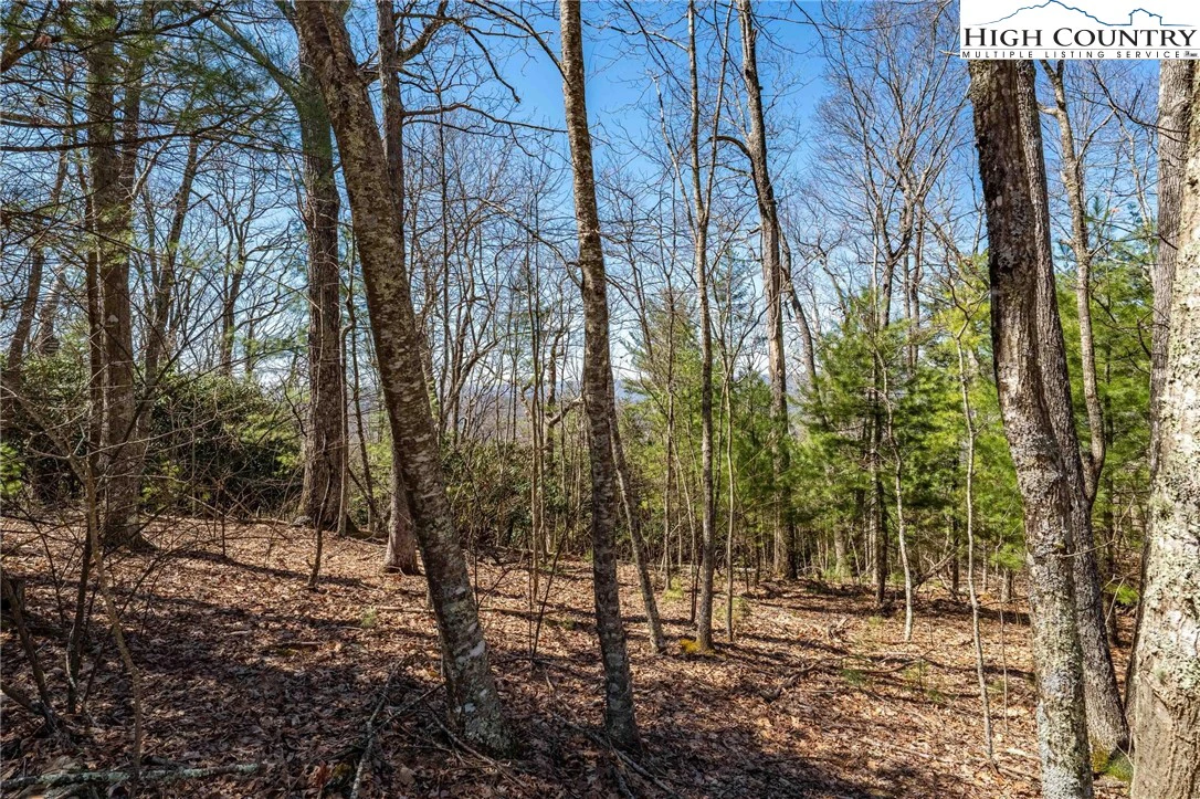 Image number 6 for the current listing