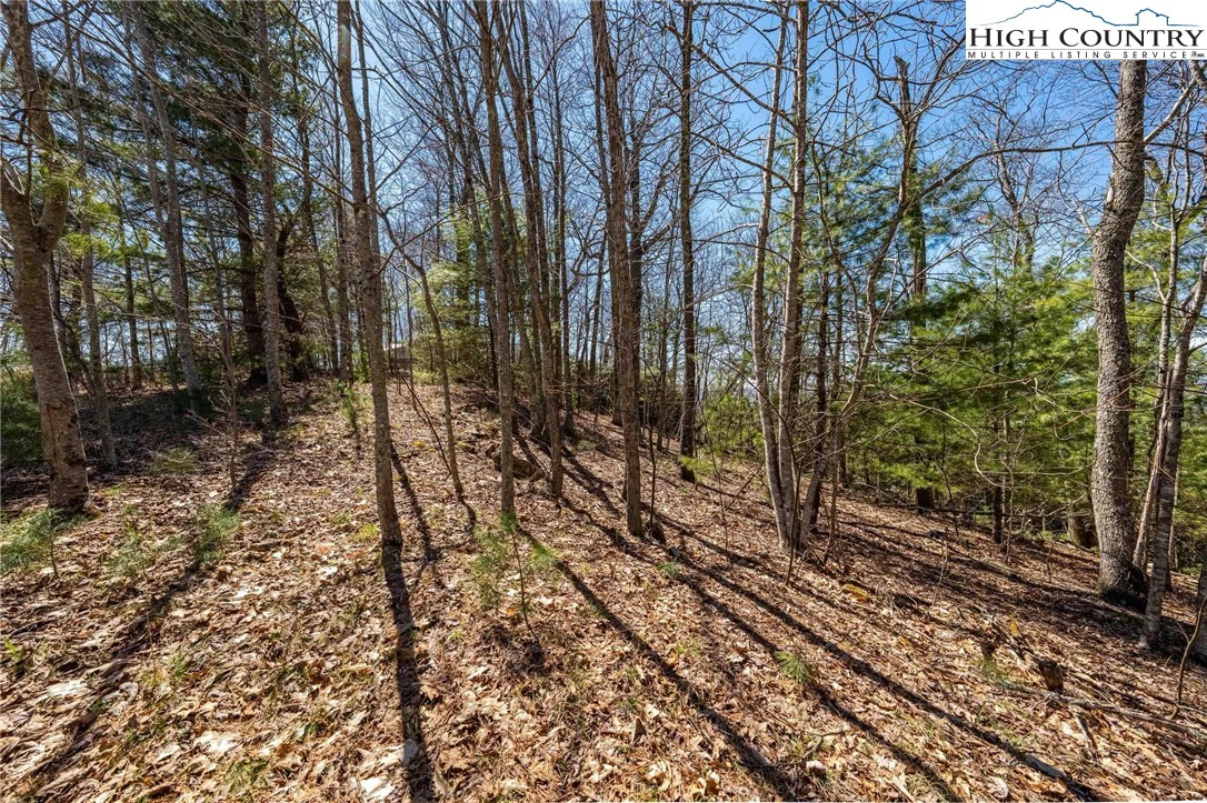 Image number 5 for the current listing