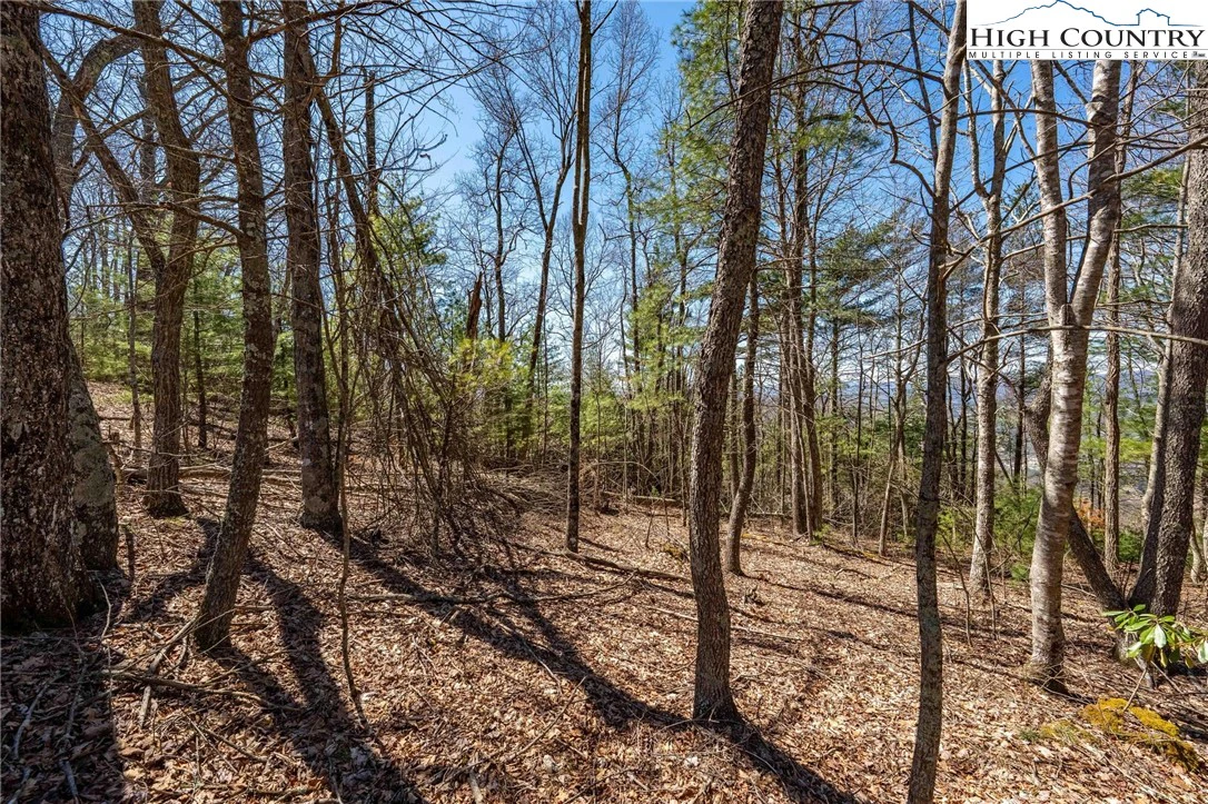 Image number 4 for the current listing