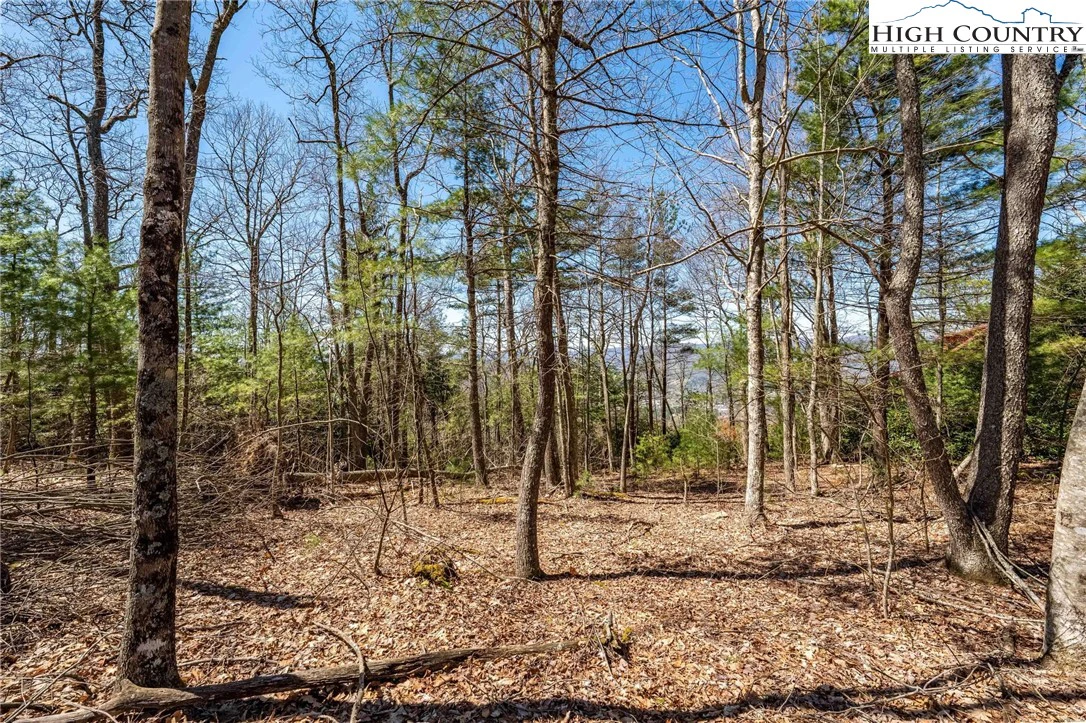 Image number 3 for the current listing