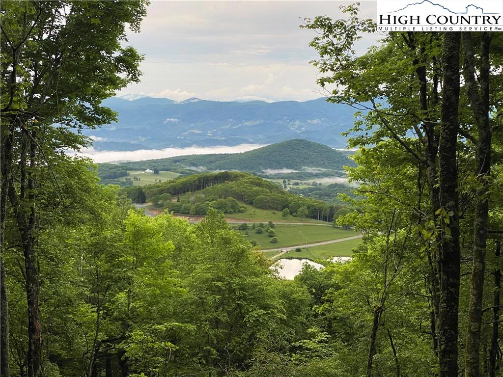 Image number 1 for the current listing