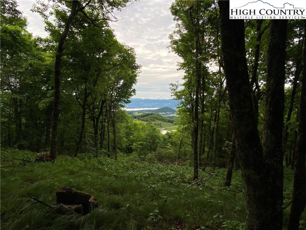 Image number 3 for the current listing