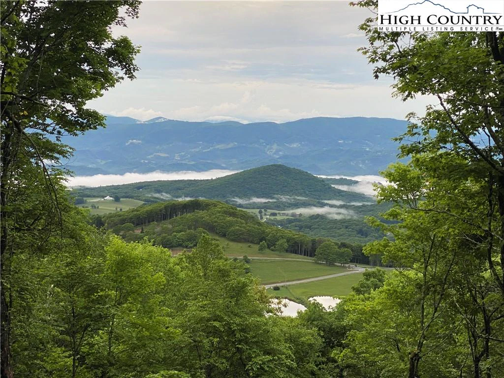 Image number 4 for the current listing