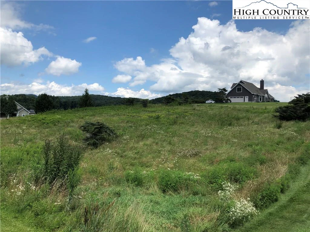 Image number 1 for the current listing