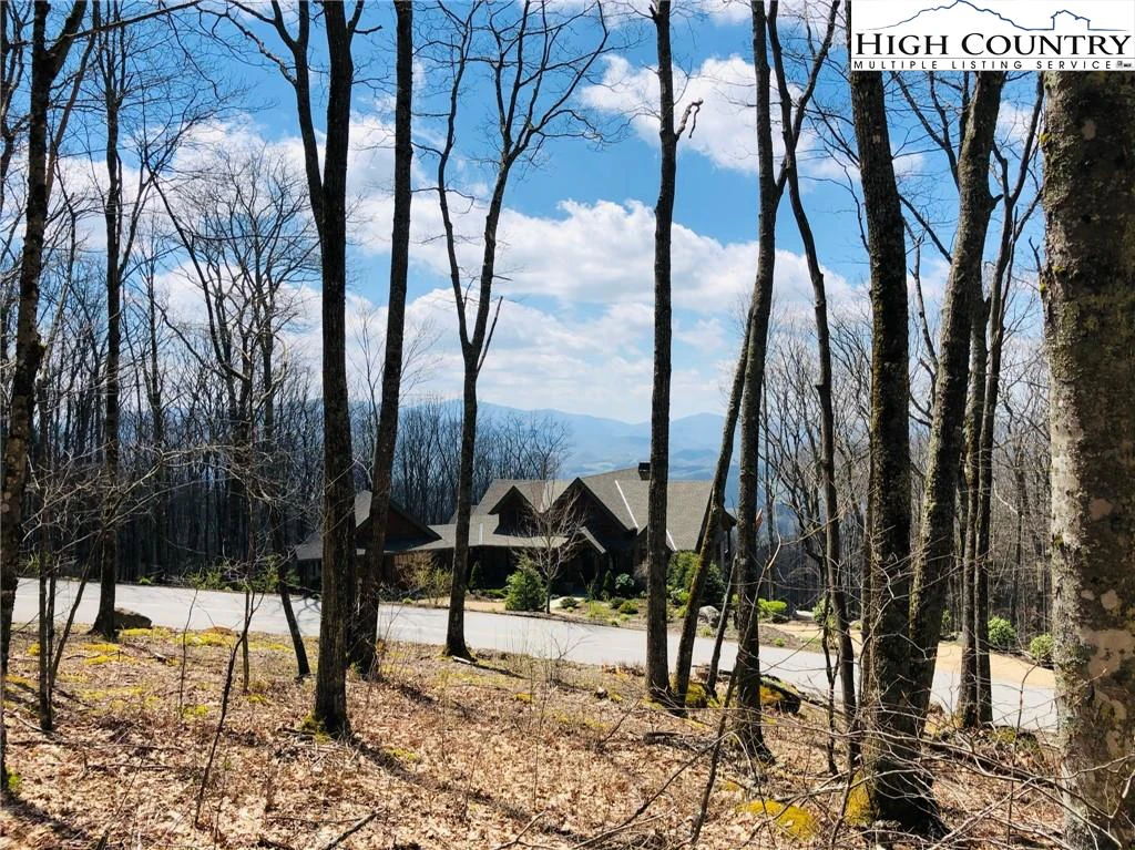 Image number 1 for the current listing