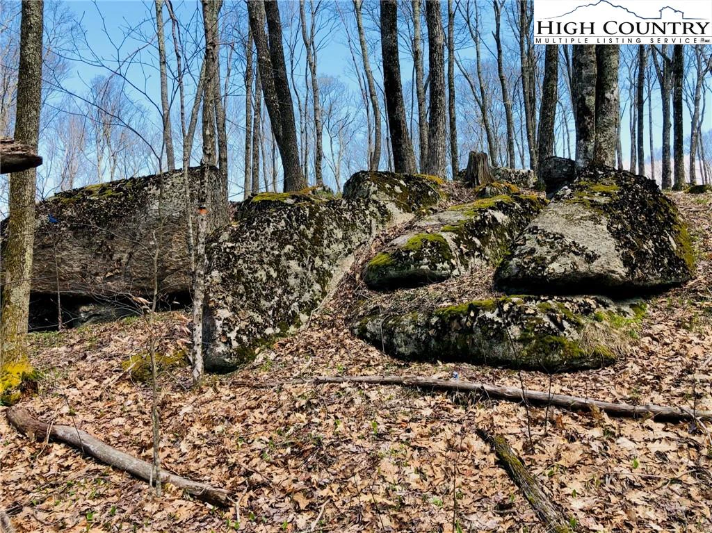 Image number 6 for the current listing