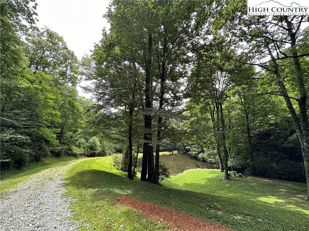 Image number 7 for the current listing