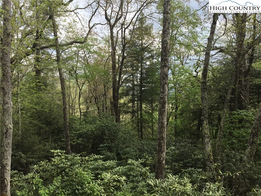 Image number 14 for the current listing