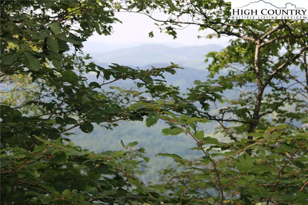 Image number 1 for the current listing