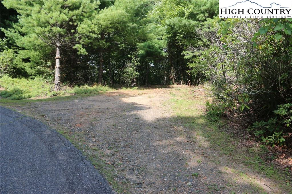 Image number 11 for the current listing