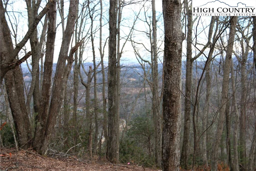 Image number 4 for the current listing