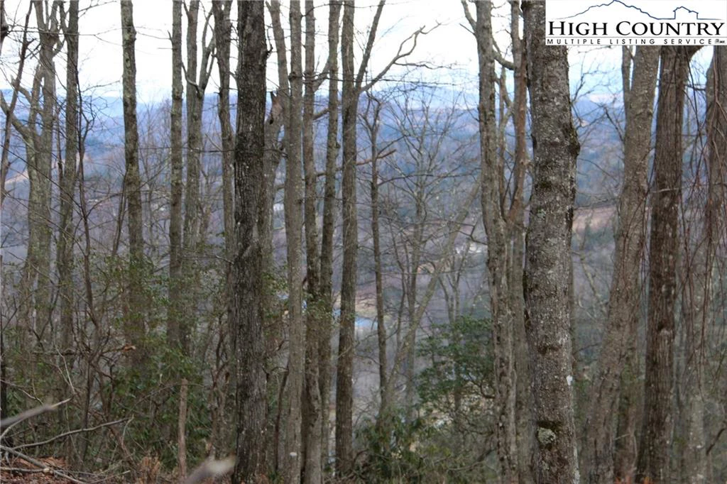 Image number 5 for the current listing