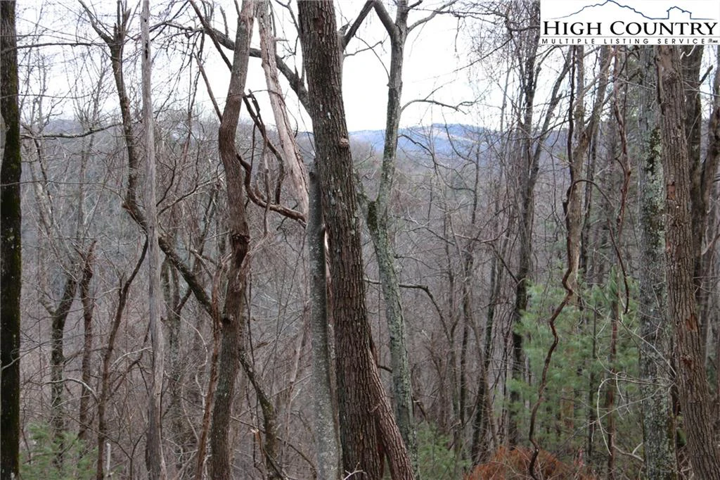 Image number 6 for the current listing