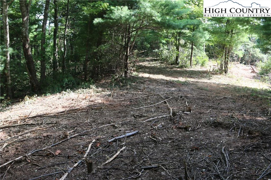 Image number 7 for the current listing