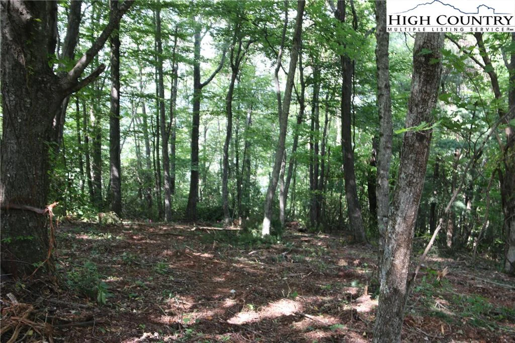 Image number 8 for the current listing